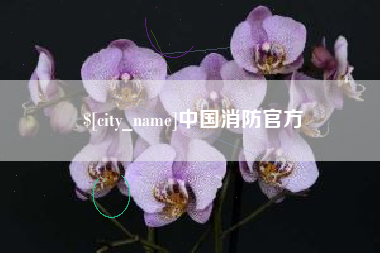 济宁中国消防官方