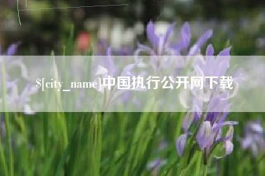 济宁中国执行公开网下载