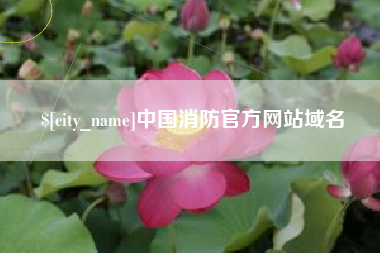 济宁中国消防官方网站域名