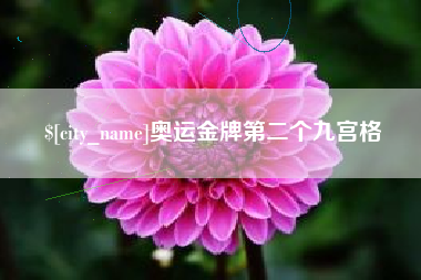 济宁奥运金牌第二个九宫格