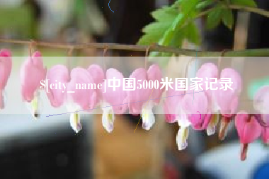 济宁中国5000米国家记录