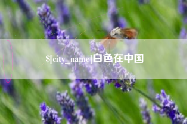 济宁白色在中国