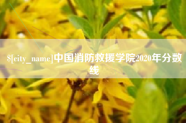 济宁中国消防救援学院2020年分数线
