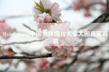 济宁中国金牌图片大全大图真实高清