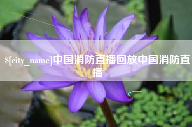 济宁中国消防直播回放中国消防直播