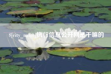 济宁执行信息公开网是干嘛的