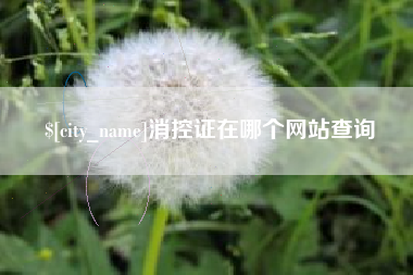 济宁消控证在哪个网站查询
