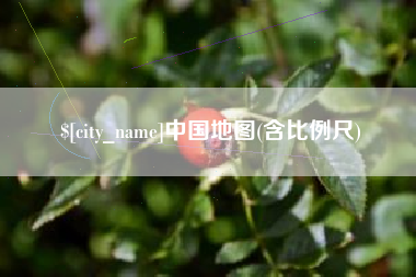 济宁中国地图(含比例尺)