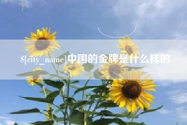 济宁中国的金牌是什么样的