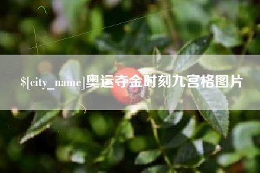 济宁奥运夺金时刻九宫格图片