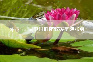 济宁中国消防救援学院张勇