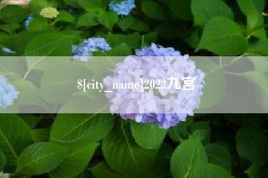 济宁2022九宫
