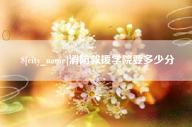 济宁消防救援学院要多少分