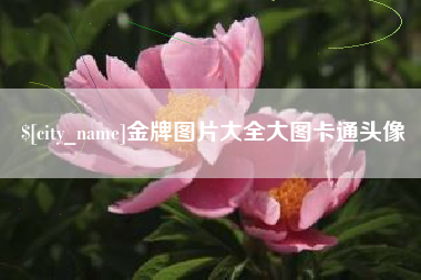 济宁金牌图片大全大图卡通头像