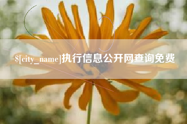 济宁执行信息公开网查询免费