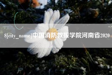 济宁中国消防救援学院河南省2020