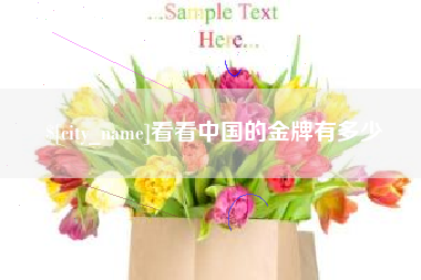 济宁看看中国的金牌有多少